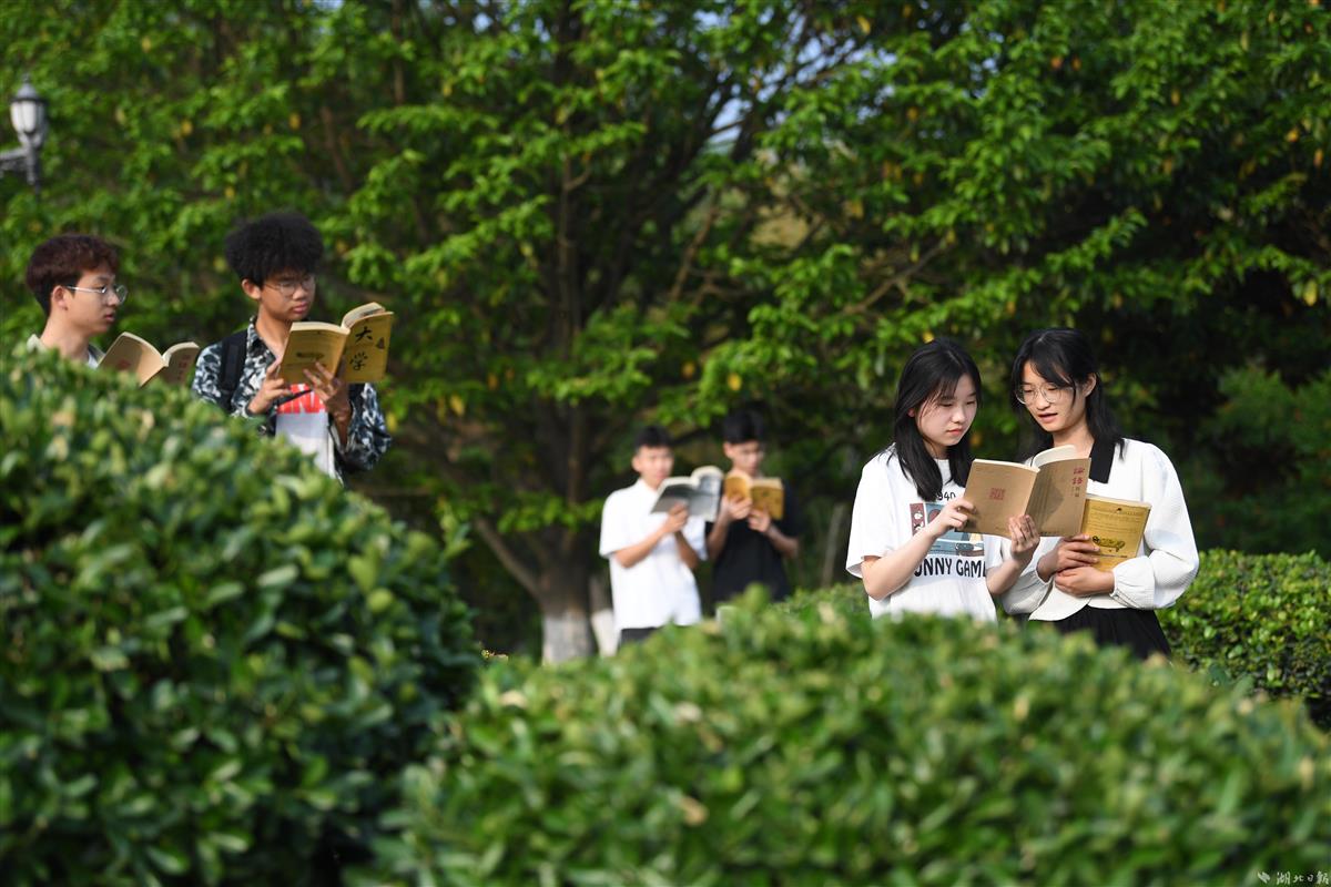 ok138太阳集团