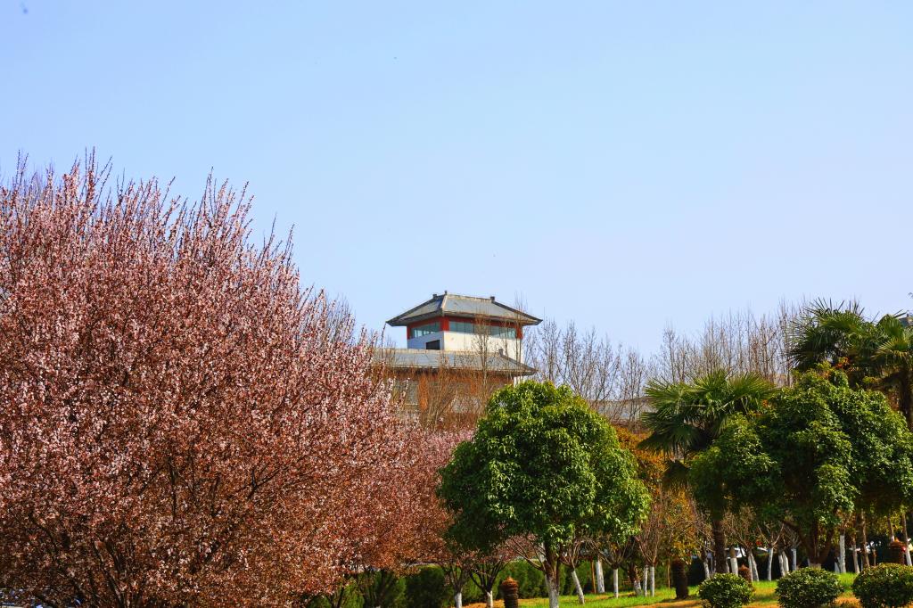 ok138太阳集团